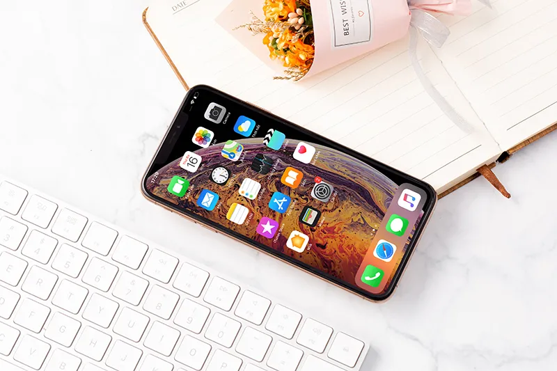 Iphone xs max 256gb - 14