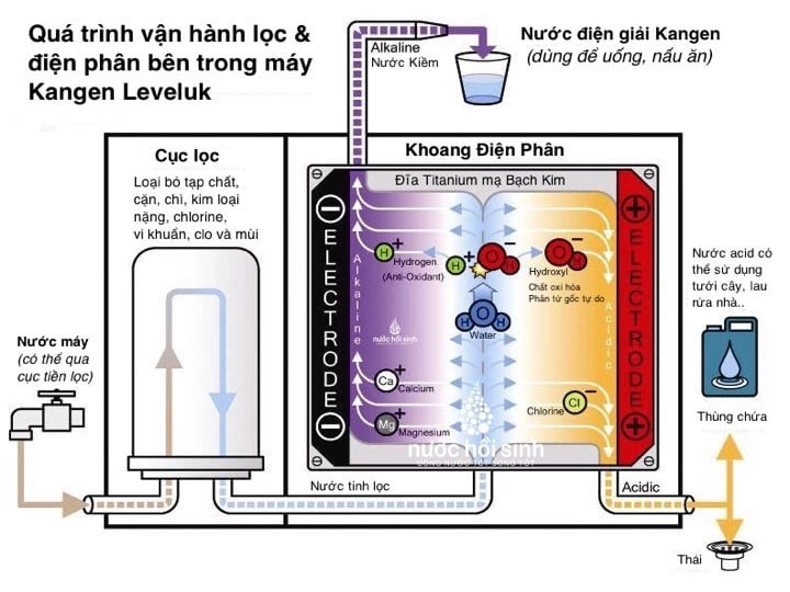 Máy lọc nước điện giải - 3