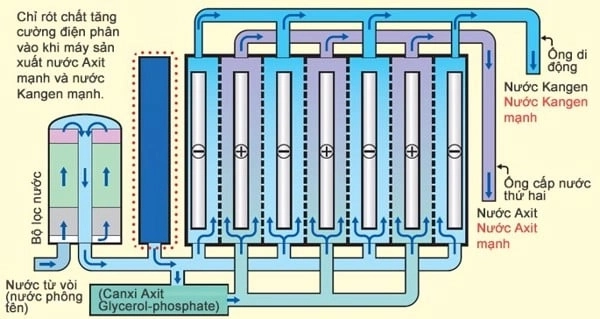 Máy lọc nước điện giải kangen k8 - 18